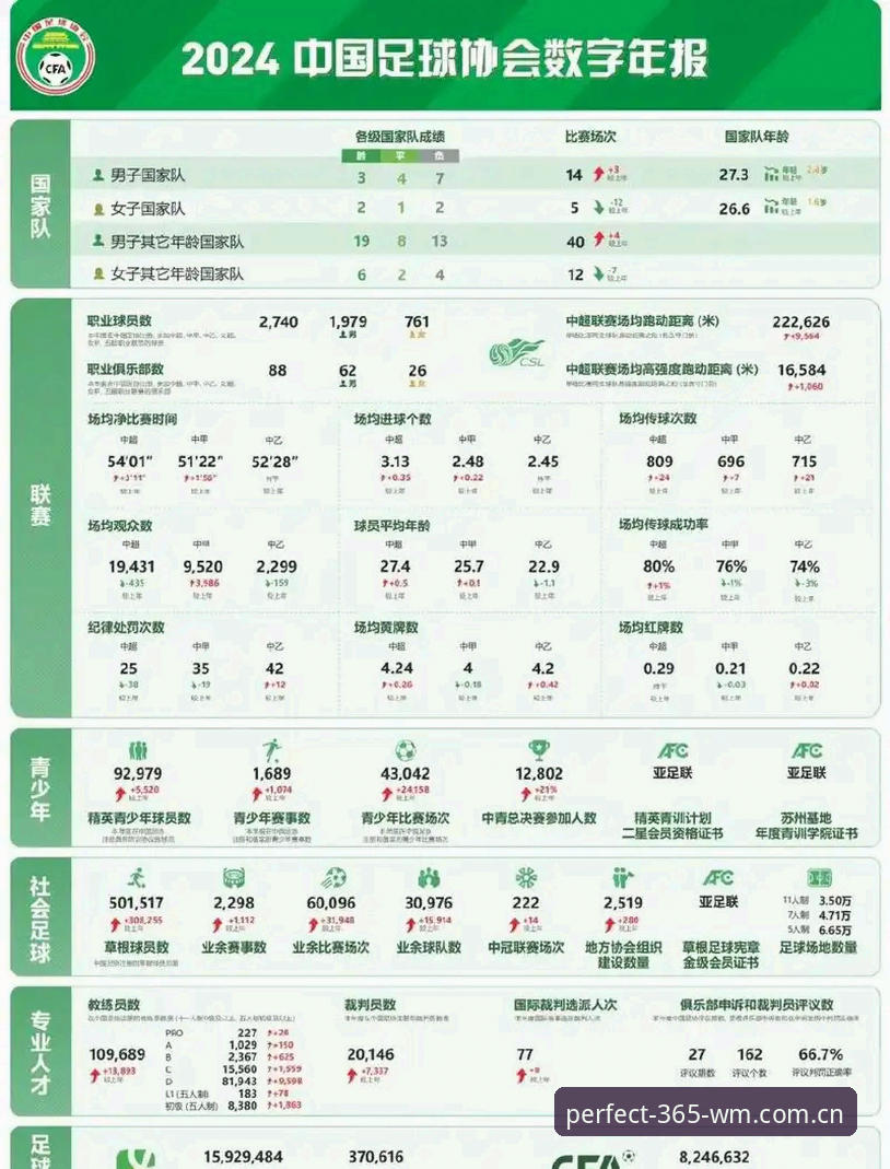 深度揭秘中国足协第三批禁足名单背后的真相：65人涉案，终身禁赛与行业整顿风暴
