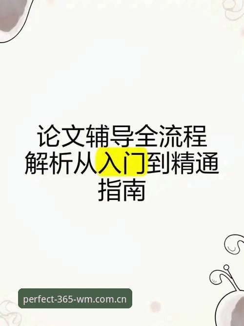 完美体育版本更新完整指南：从下载到使用的全方位解析